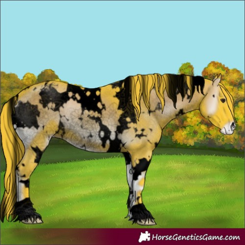 Horse Color:Void Watercolor White Spotted Liver Red Onyx Appaloosa 