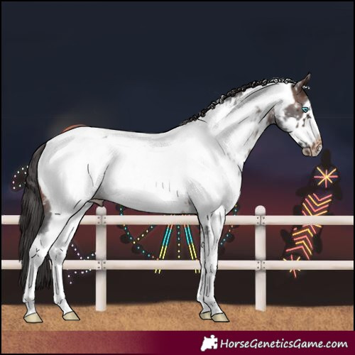 Horse Color:Brown Sabino Frame Near Fewspot Rabicano 