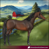 Horse Color:Brown 