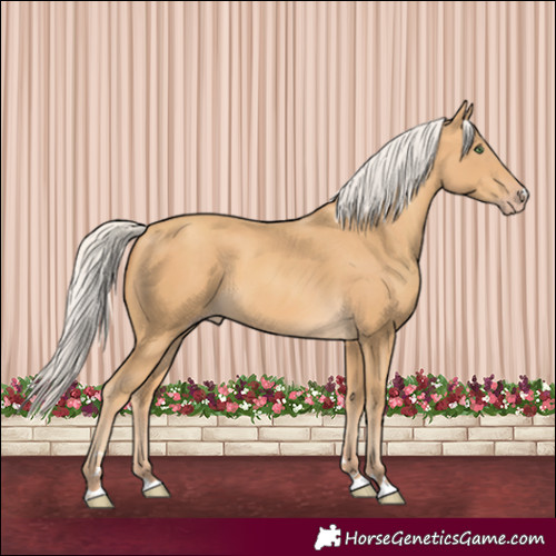 Horse Color:Silver Sable Cream Champagne 