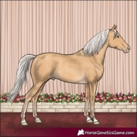 Horse Color:Silver Sable Cream Champagne