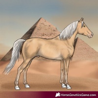 Horse Color:Silver Sable Cream Champagne