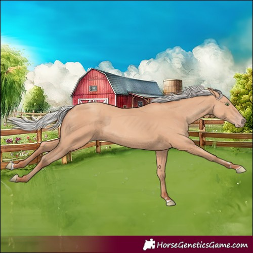 Horse Color:Silver Amber Champagne 