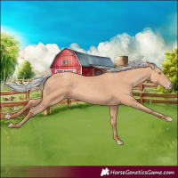Horse Color:Silver Amber Champagne 