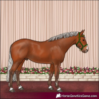 Horse Color:Silver Bay