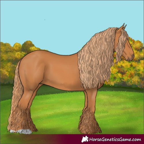 Horse Color:Unknown 