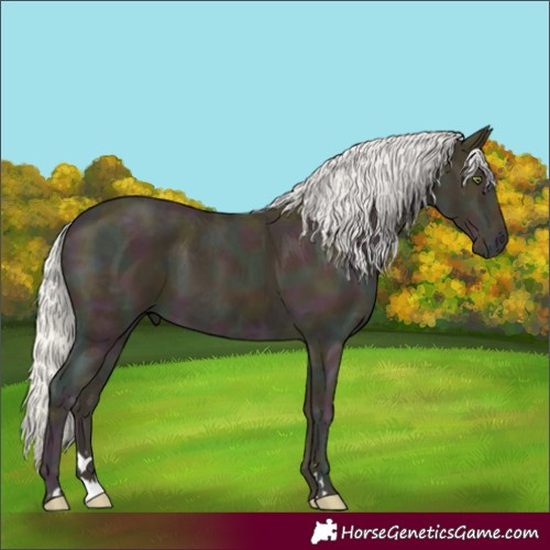 Horse Color:Midnight Silver Classic Cream Champagne Ice 