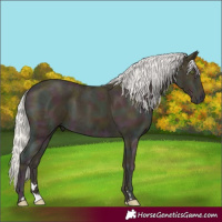Horse Color:Midnight Silver Classic Cream Champagne Ice
