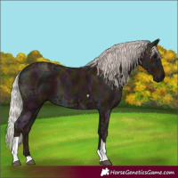 Horse Color:Midnight Silver Black Ice Tobiano