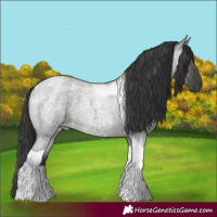 Horse Color:Grullo Roan Tobiano