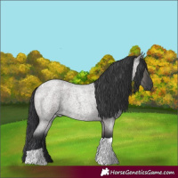 Horse Color:Grullo Roan Tobiano