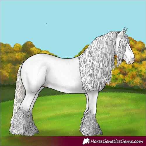 Horse Color:Palomino Sabino