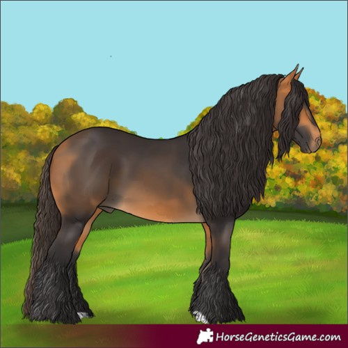 Horse Color:Buckskin 