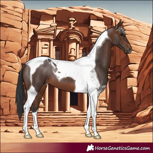 Horse Color:Brown Tobiano