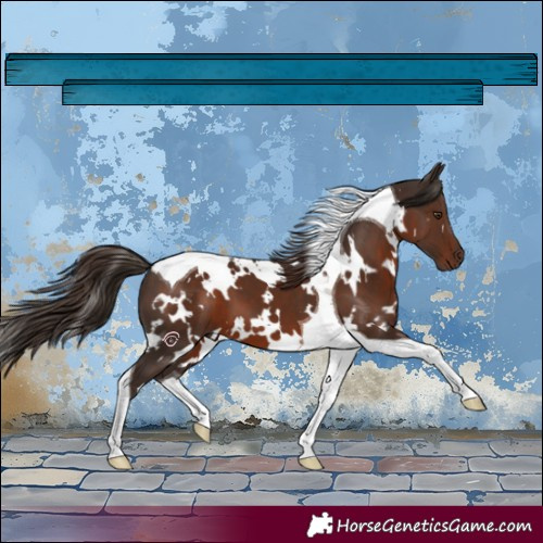 Horse Color:White Spotted Liver Chestnut Tobiano 