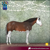 Horse Color:Bay Splash