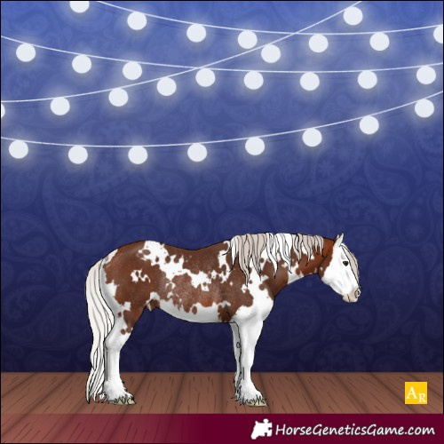 Horse Color:White Spotted Silver Bay Splash Appaloosa Rabicano