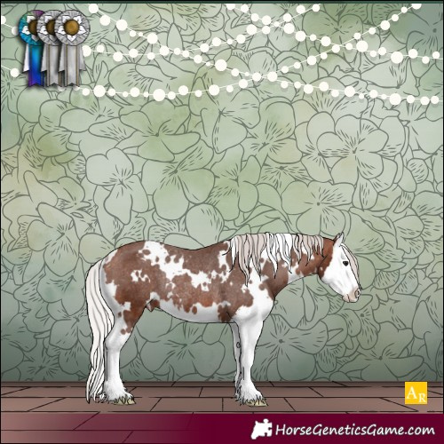 Horse Color:White Spotted Silver Bay Splash Varnish Rabicano 