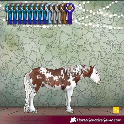 Horse Color:White Spotted Silver Bay Splash Varnish Rabicano 