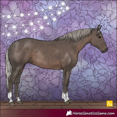 Horse Color:Silver Black Tobiano Rabicano 