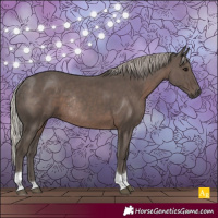 Horse Color:Silver Black Tobiano Rabicano 