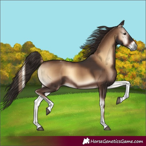 Horse Color:Liver Red Onyx Tobiano 