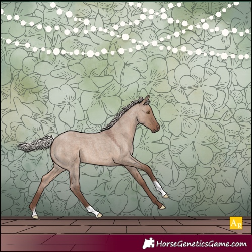 Horse Color:Silver Grullo Roan 