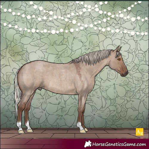 Horse Color:Silver Grullo Roan 