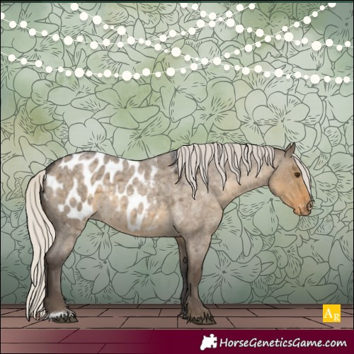 Horse Color:Silver Smoky Grullo Roan Appaloosa Rabicano