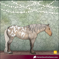 Horse Color:Silver Smoky Grullo Roan Blanket Rabicano 