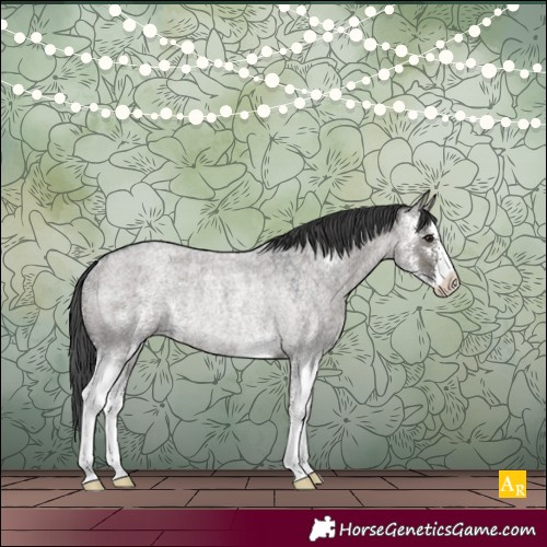 Horse Color:Grullo Roan Sabino Rabicano 