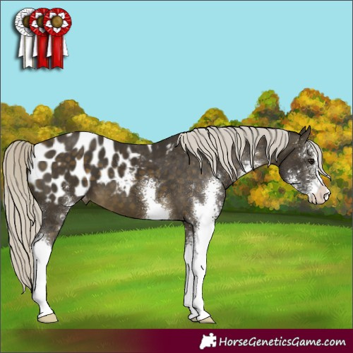 Horse Color:Silver Buckskin Sabino Blanket 