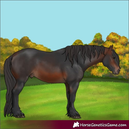 Horse Color:Brown 