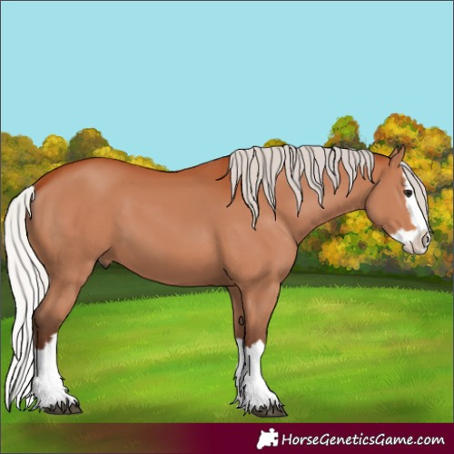 Horse Color:Silver Bay Splash 