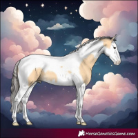 Horse Color:Buckskin Splash Tobiano 