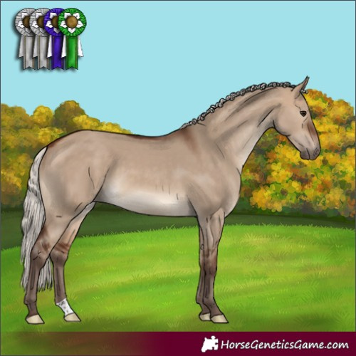 Horse Color:Silver Brown Dun 