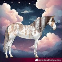 Horse Color:Chocolate Buckskin Sabino 