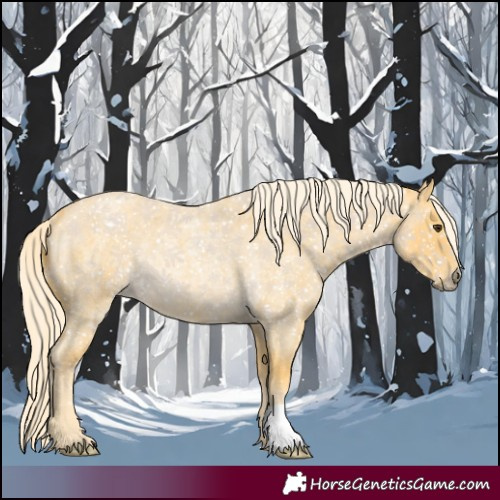 Horse Color:Palomino Roan Rabicano 