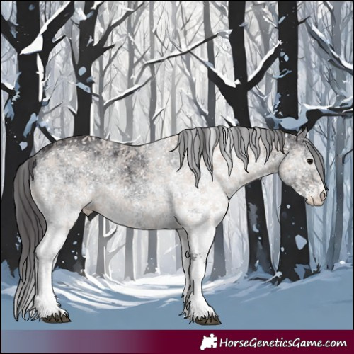 Horse Color:White Spotted Smoky Black Rabicano