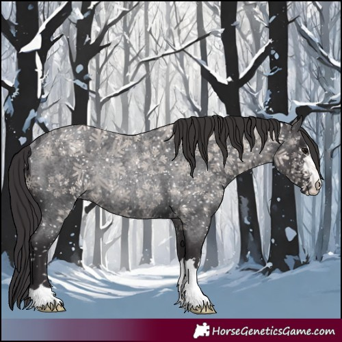 Horse Color:Smoky Blue Roan Rabicano 