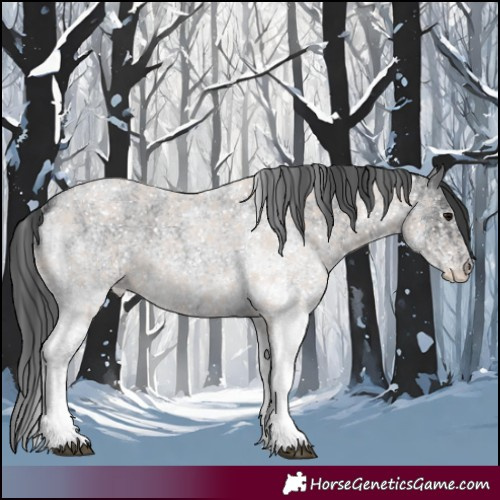 Horse Color:White Spotted Blue Roan Rabicano