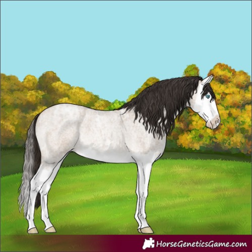 Horse Color:Bay Ice Roan Dun Splash 