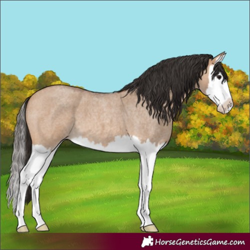 Horse Color:Bay Roan Dun Splash 