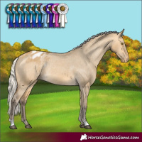 Horse Color:Silver Buckskin Dun Appaloosa Rabicano