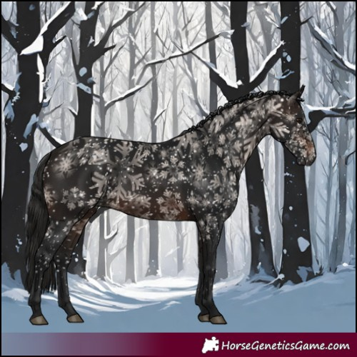 Horse Color:Gray Bay