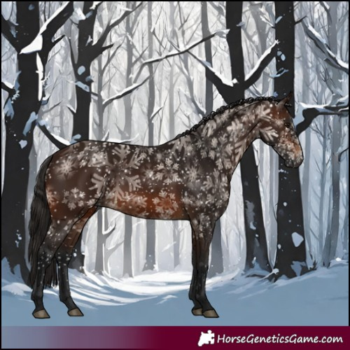 Horse Color:Gray Bay 