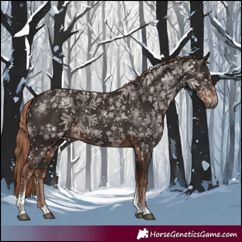 Horse Color:Liver Chestnut Tobiano