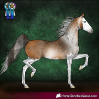 Horse Color:Gray White Spotted Buckskin Splash