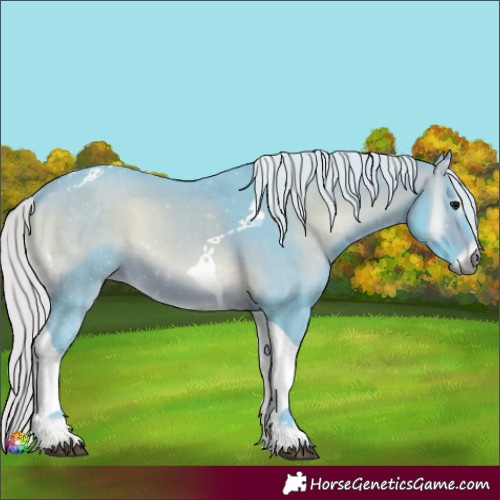 Horse Color:Watercolor Silver Brown Onyx Tobiano