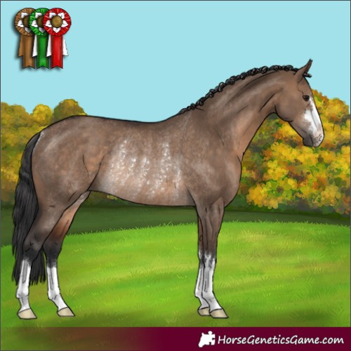Horse Color:Brown Dun Rabicano 